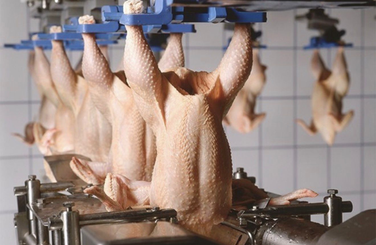 8079b1c6-d641-46df-9da0-e4d18091de83