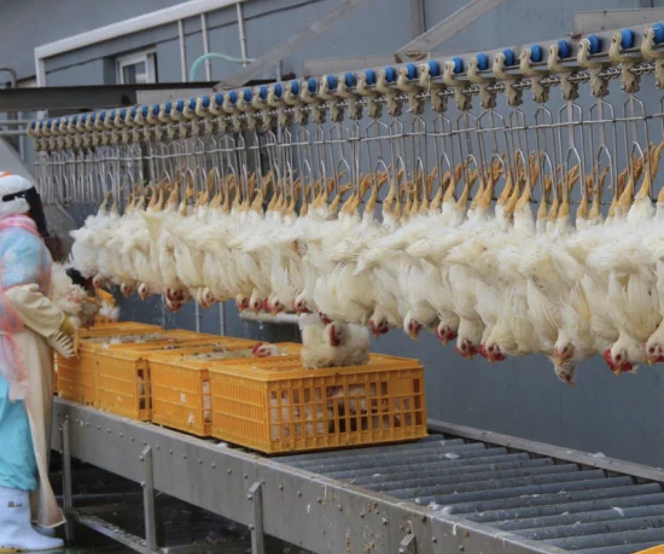 84ae6eac-6839-463f-a8e2-5bbd8929f942