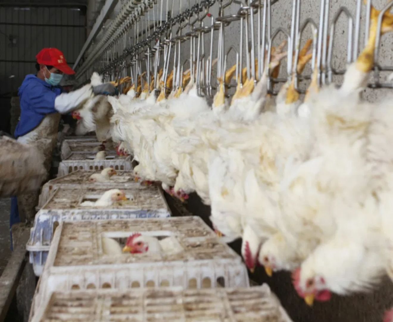 ace18cb9-0104-4e39-a7e9-620813a2e30f